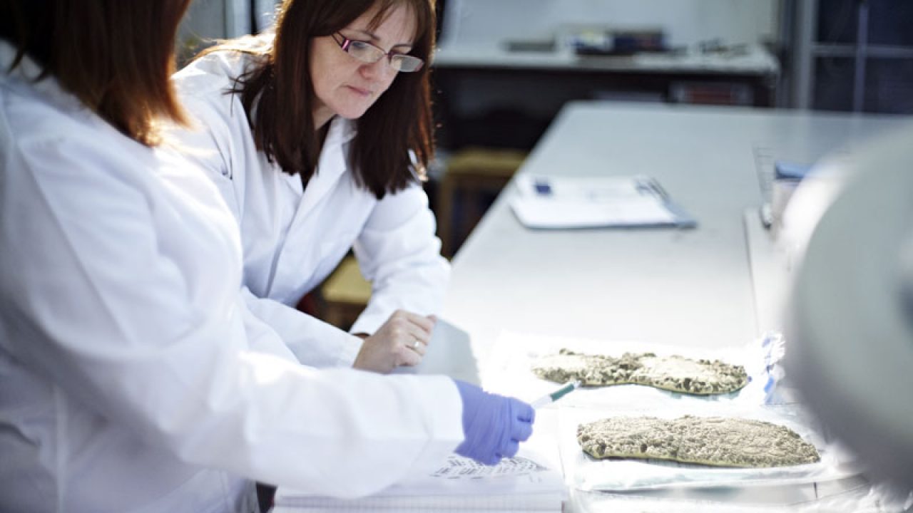 Maestría en Ciencias Criminológicas