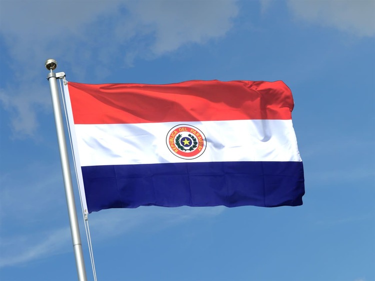 5-maestrias-online-con-mayor-demanda-en-paraguay