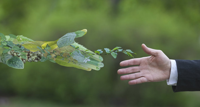 estudiar-master-online-derecho-ambiental-espana