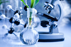 diplomado-en-biologia diplomado-en-biologia