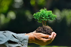 Diplomado en Ecología