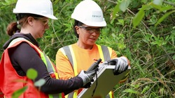 diplomado-en-ingenieria-forestal