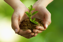 Diplomado en Medio Ambiente