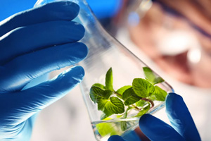 Doctorado en Ciencias Ambientales