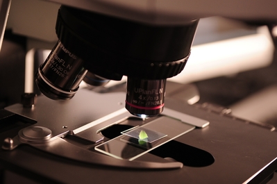doctorado-en-microbiologia doctorado-en-microbiologia