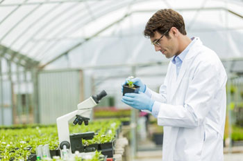 Maestría en Ciencias Ambientales