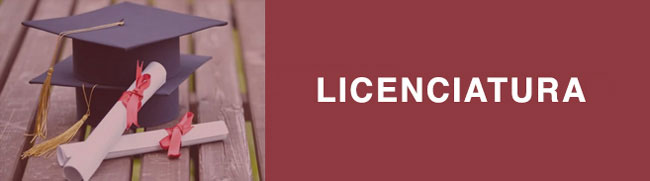 plan-de-estudio-licenciatura-online