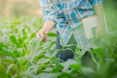 programa-doctorado-agroindustria programa-doctorado-agroindustria